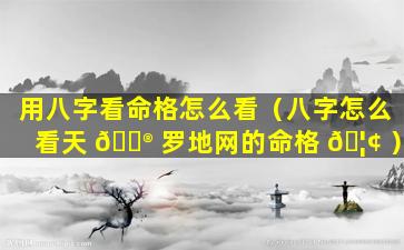 用八字看命格怎么看（八字怎么看天 💮 罗地网的命格 🦢 ）